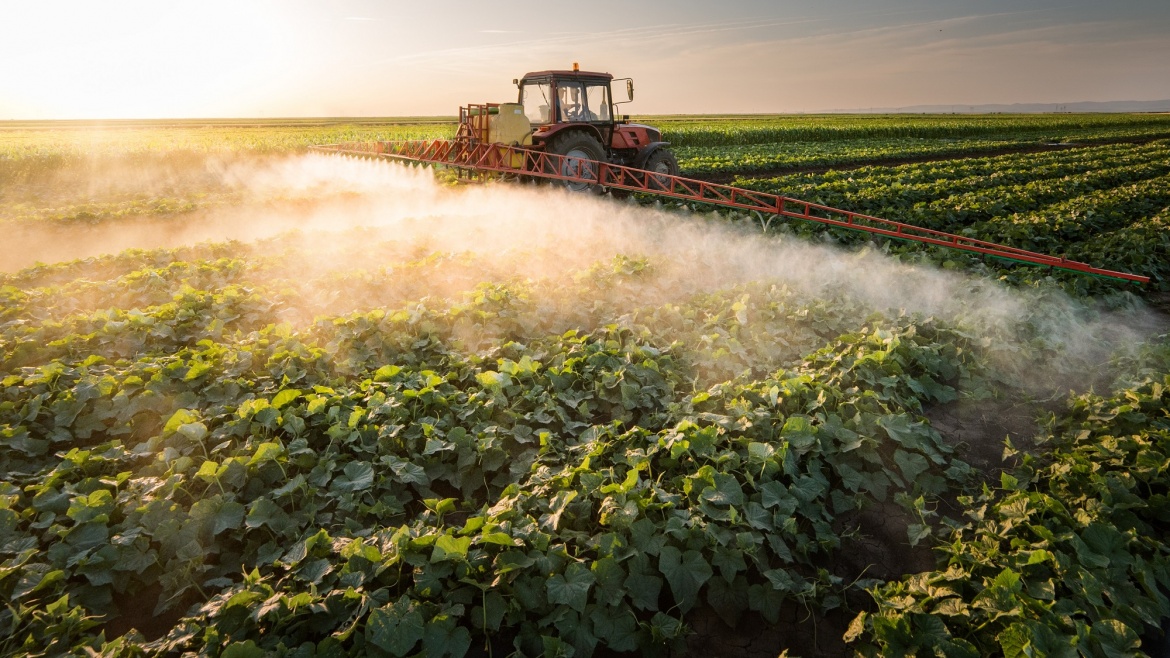 Cum să ne protejăm de efectele nedorite ale pesticidelor (partea I)