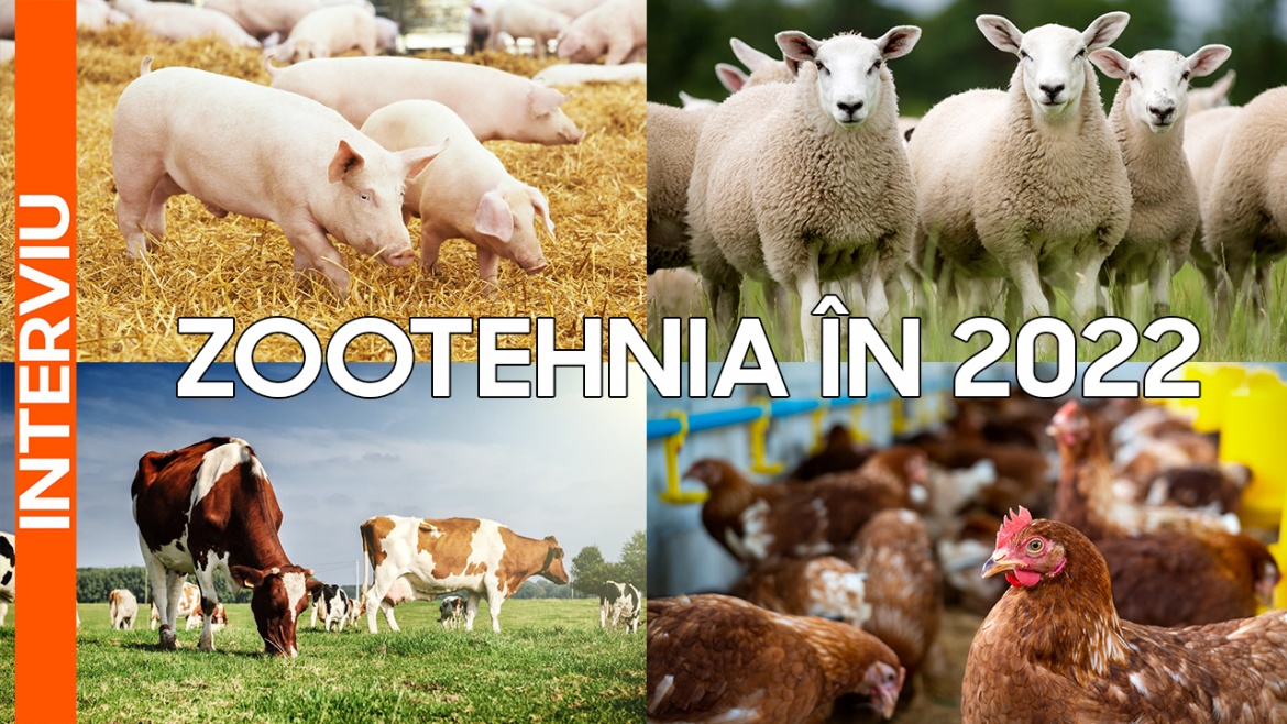 Starea sectorului zootehnic din România